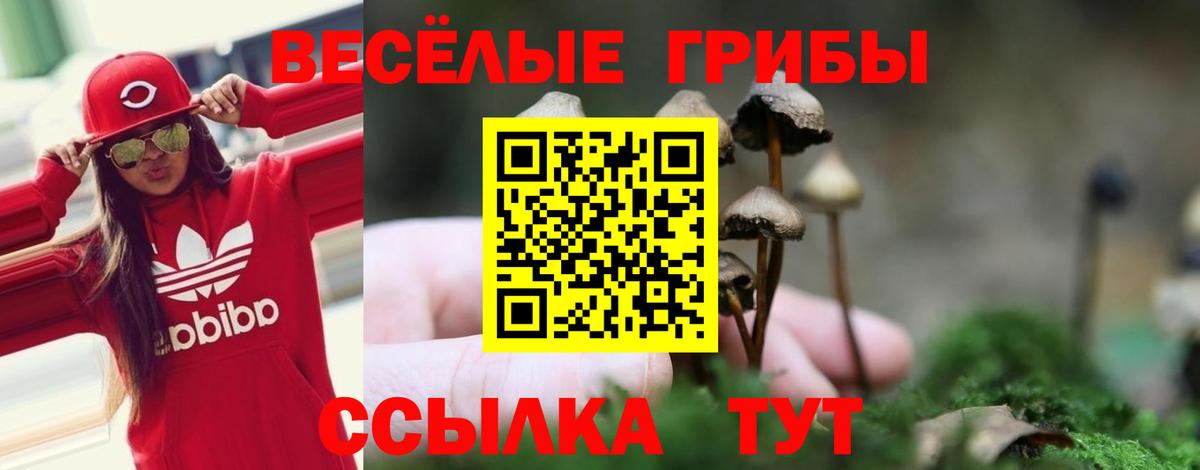 Долгопрудный  Галлюциногенные грибы ЛСД  Вход с VPN 